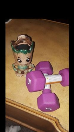 Pair of 5lb Dumbells