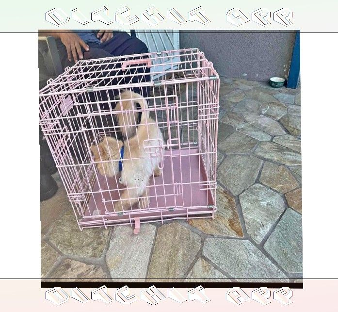 Tough Metal Dog Crates - Dependable and Secure hand PM