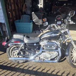 03 Harley Sportster Anniversary Eddition