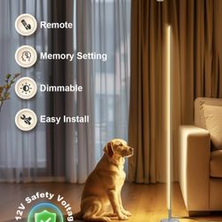 TACAHE Minimalist Corner Floor Lamp 