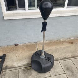 Punching Speed Bag