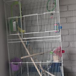 Birds, With Tall Cage
