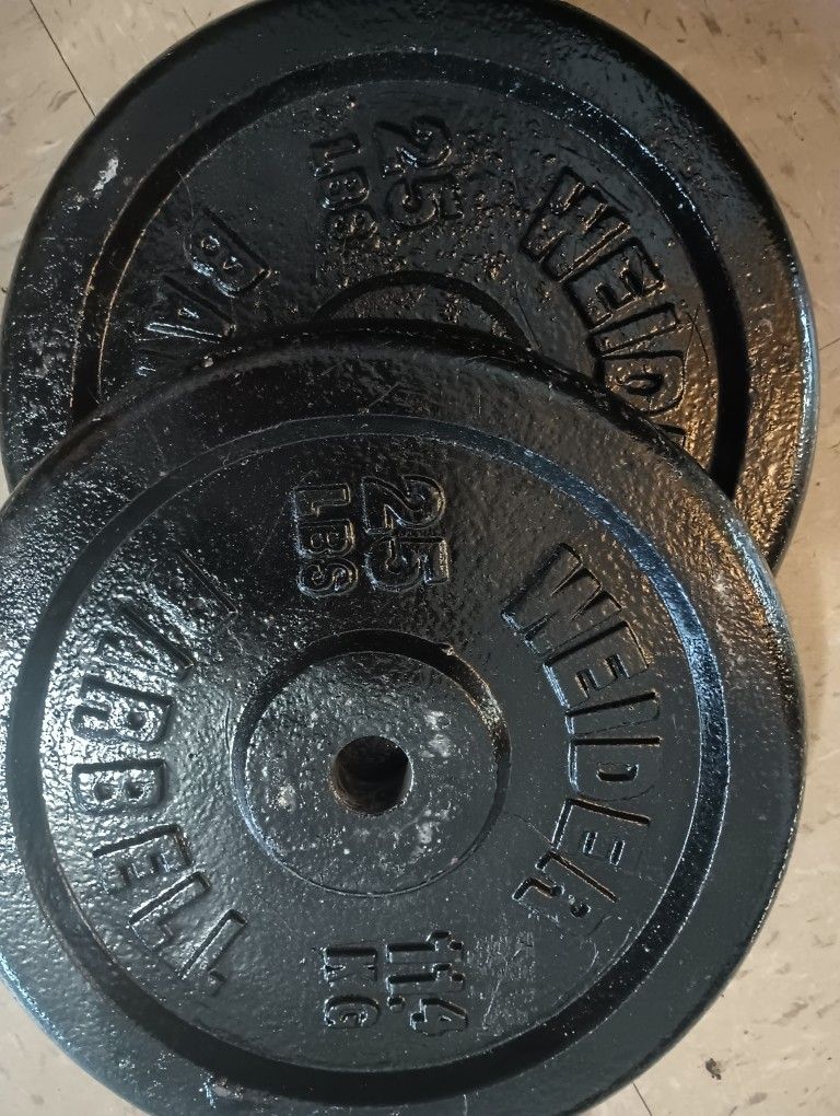 2-25lb weights