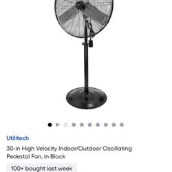 Utilitech 30-in High Velocity Indoor/Outdoor Oscillating Pedestal Fan, in Black