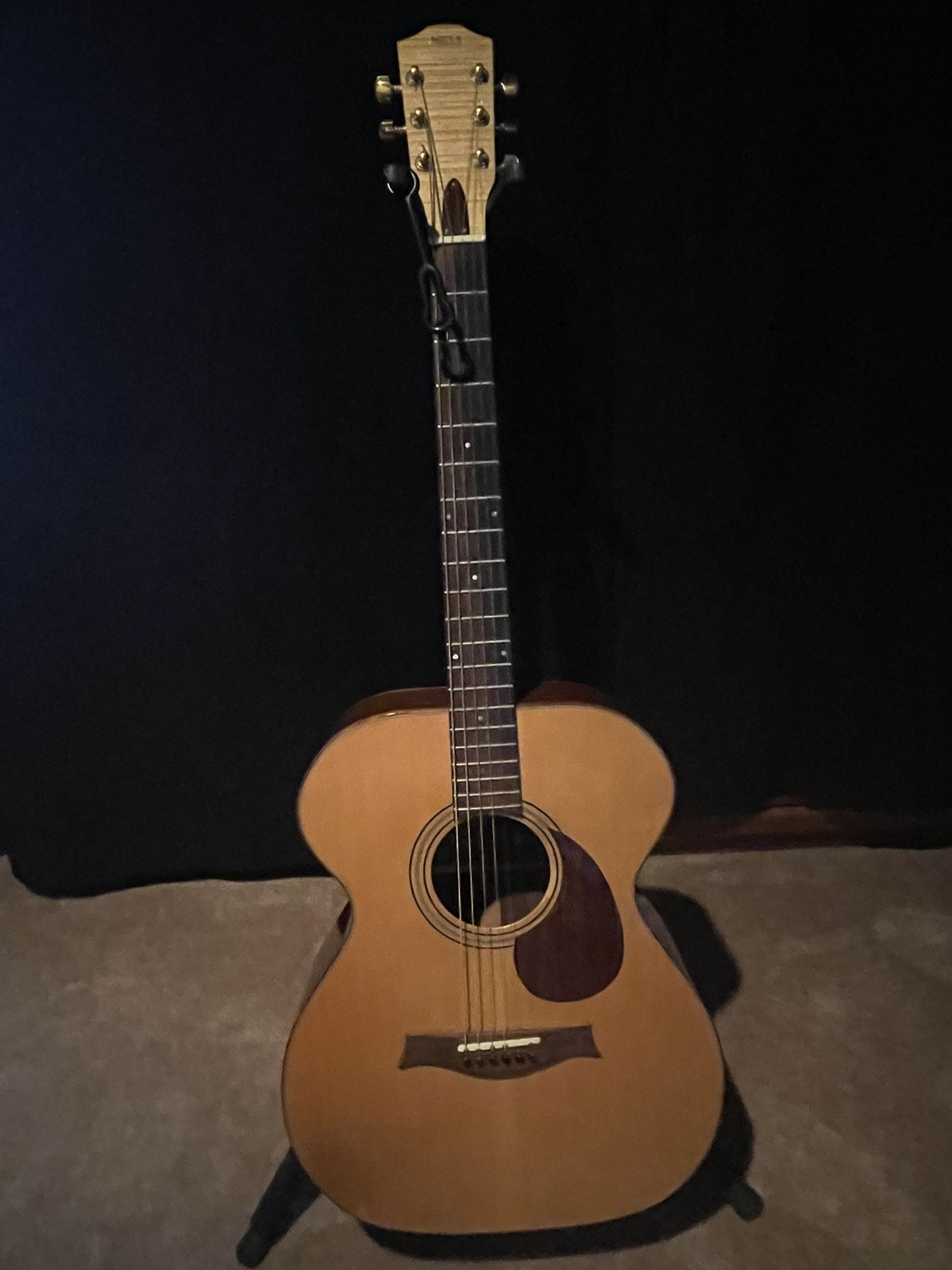 Custom Built Mills Guitar