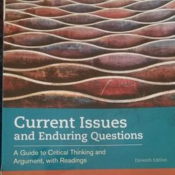 Current Issues And Enduring Questions English College Book