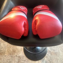 Kickboxing Gloves