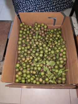 Mamoncillo $8 La Libra/A Lb