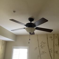 HUNTER 52” BROWN CEILING FAN WITH FROSTED GLASS LIGHT