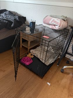 large kennel
