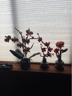 3x lego flower sets. all three for $20!
