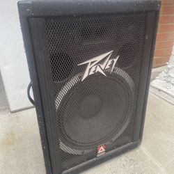 Peavey PV115 Speaker 26in x 18in
