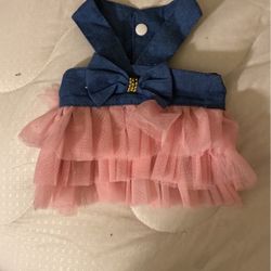 Cat Dress  