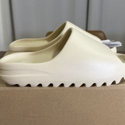 Adidas Yeezy Slide Bone 11M NEW