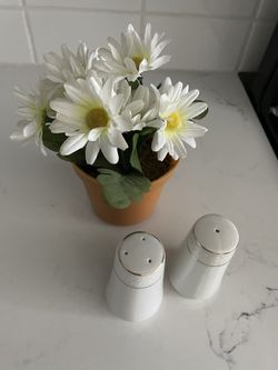 Salt & Pepper Shaker