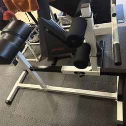 Yukon Glute Ham Developer (GHD)