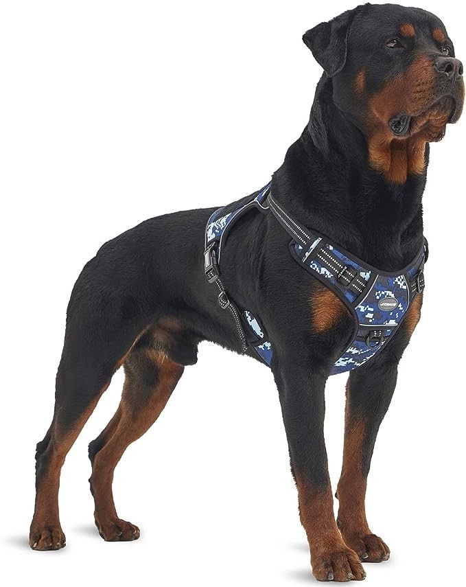 Dog Harness 