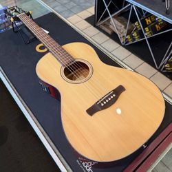 Ibanez PN50TKE Natural High Gloss Parlor Acoustic Electric Guitar NEW!