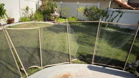 Swimming Pool Fence  with Locked Door