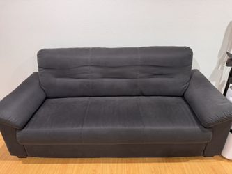 Sofa $75