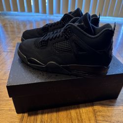 Black Cat 4’s - 2025