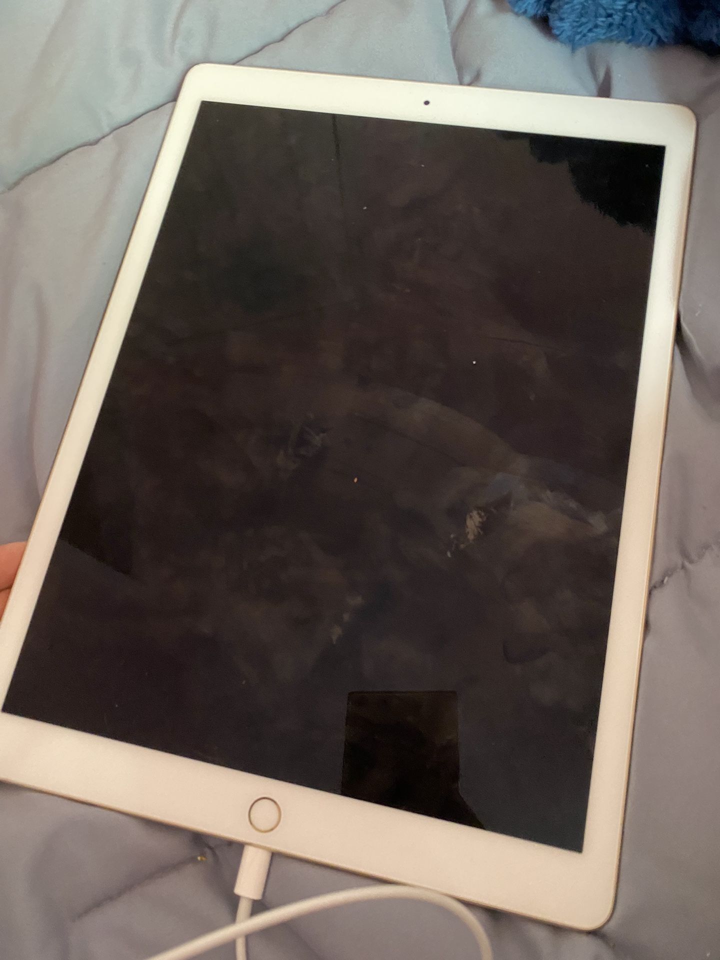 iPad Pro 12.9 Inch 2nd Generation