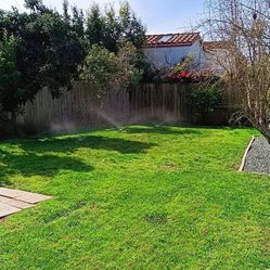 Jardinero Antes Y Después 