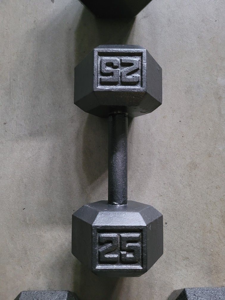 Hex Dumbbell ONLY ONE (25lb) for $20 Firm (Walnut 91789)