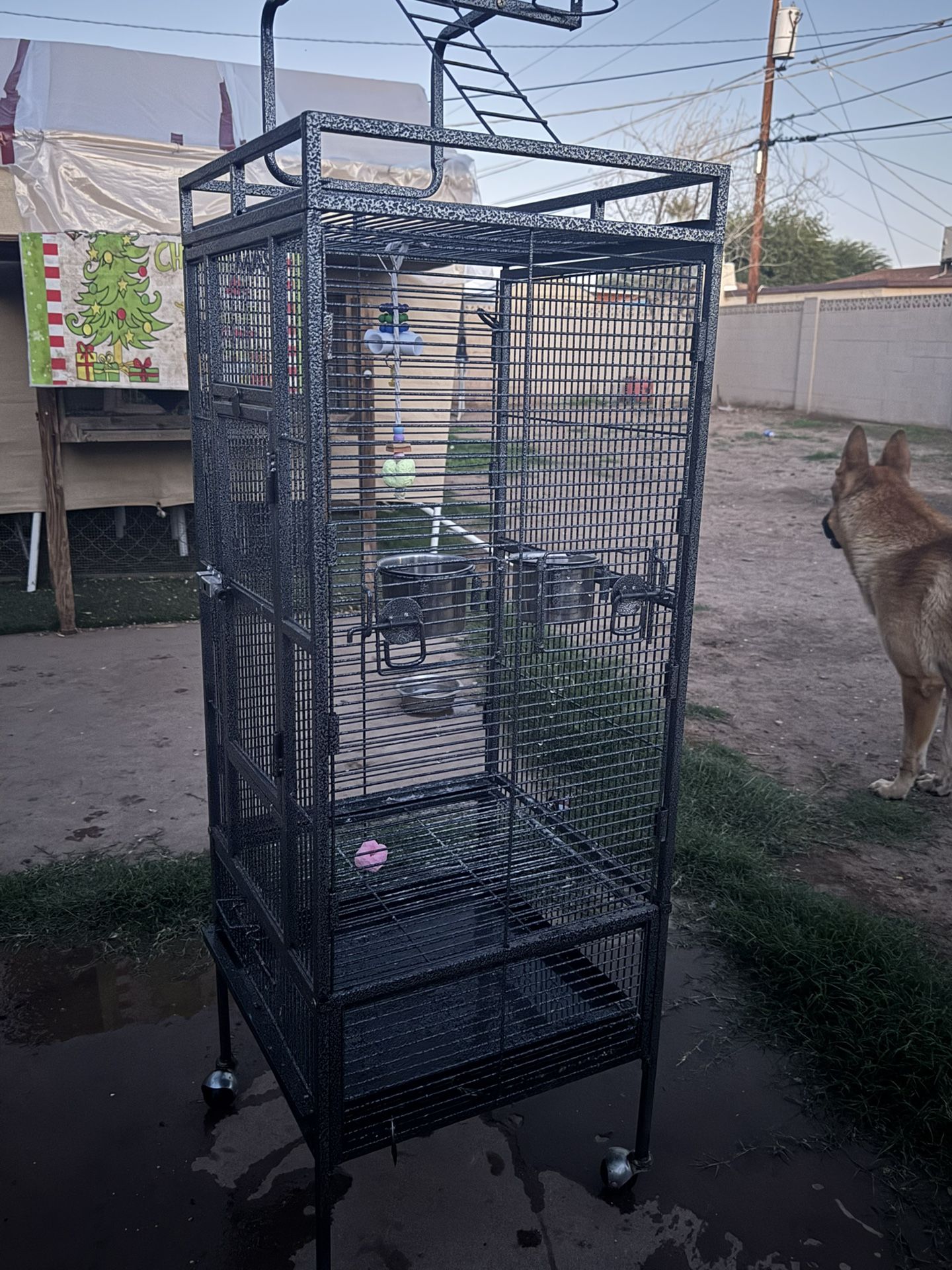 Bird Cage Semi New