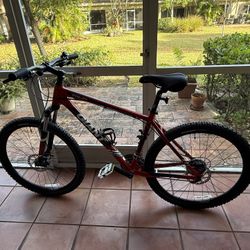 Bike (Giant - Large)