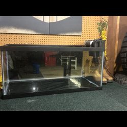 40 gallon tank 
