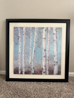 Large Framed Birch Tree Art Print - 36" × 36"