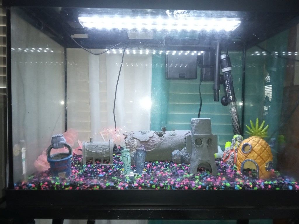 Pesera/Fish Tank