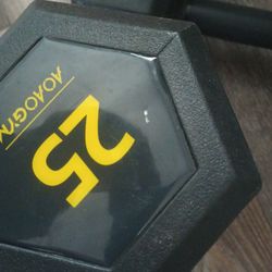 25 Pound Dumbbells 