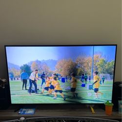 Samsung 55” TV with remote