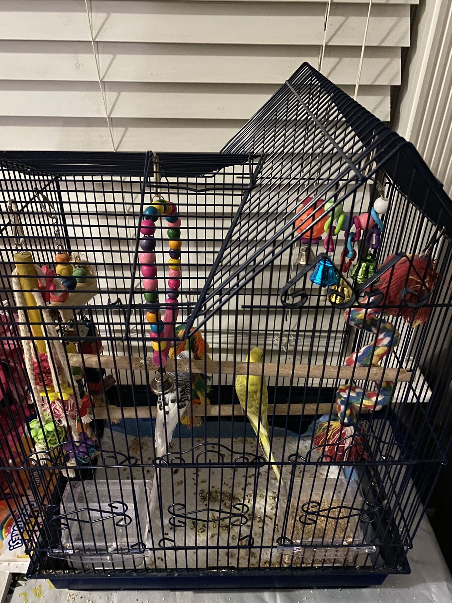 bird cage