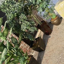 PLANTS  ARTIFICIAL AND CHAIR 🪑 