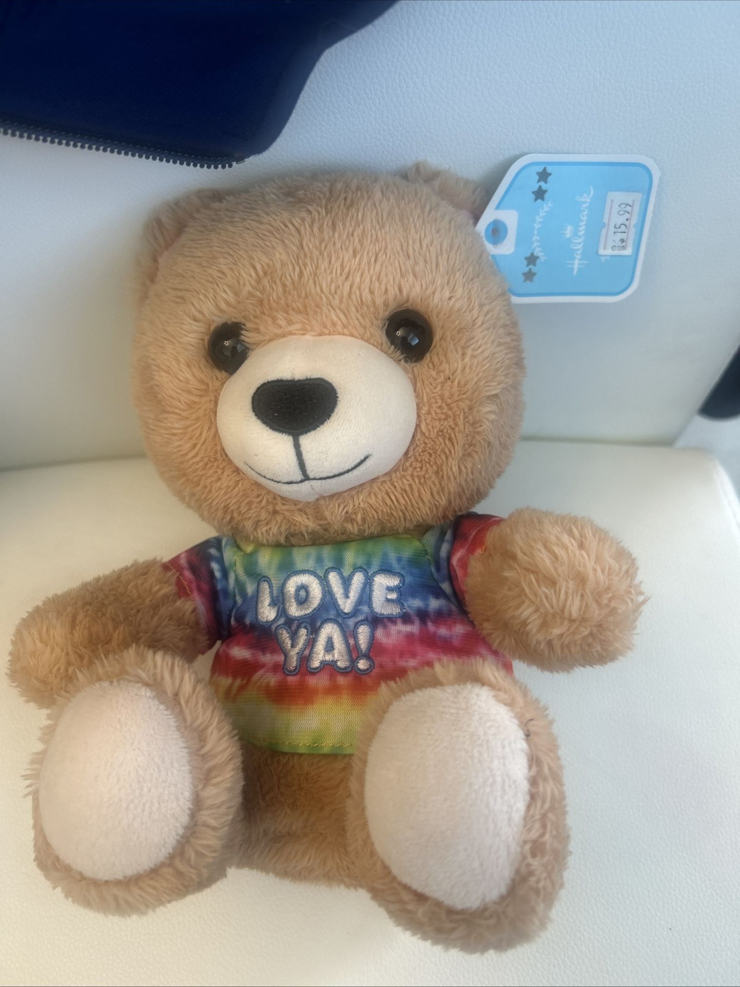 Hallmark Love Ya! Plush Teddy Bear 8" Tie Die Rainbow b01