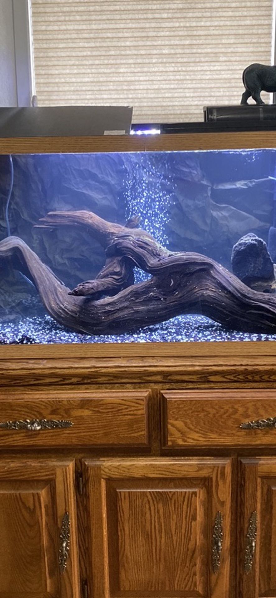 Fish Tank Driftwood