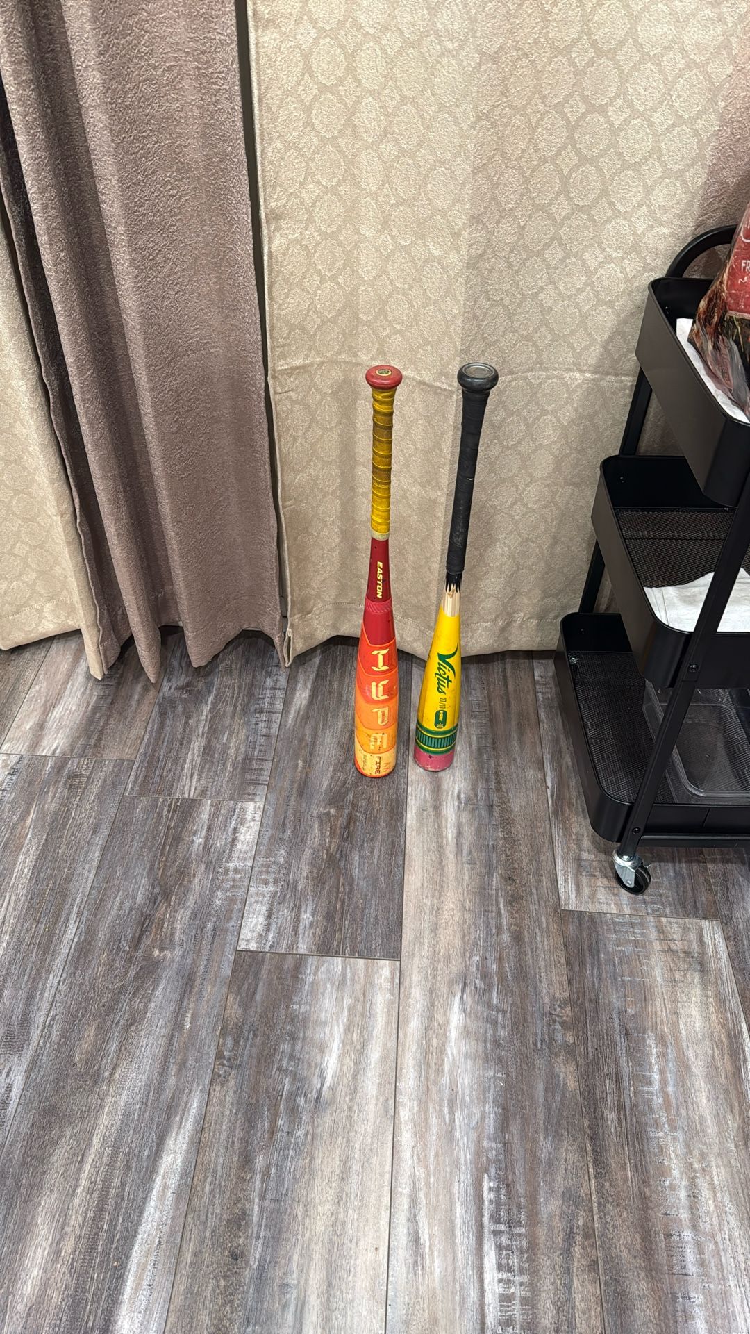 Hype Fire And Pencil Bat