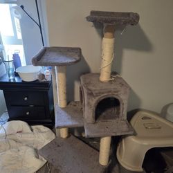 Used Cat Tree