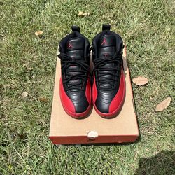 Air Jordan flue game 12s