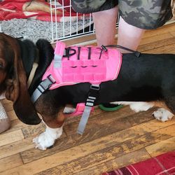 Tactical Dog Harness 