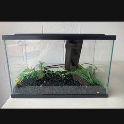 2.5 Gal Fish Tank With All The Decor 