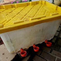 Chicken coop , Gallinero , water