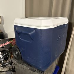 Coleman Cooler