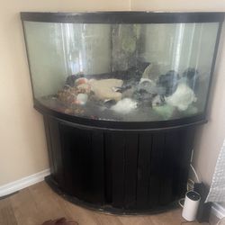 92 Gallon Fish Tank With Stand