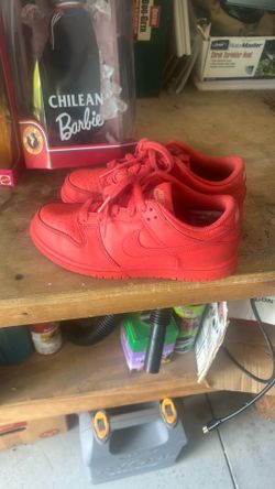 Kids Red Dunks