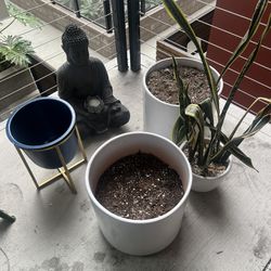 Ceramic Lot Of Pots Patio, Porch, Or Yard $100