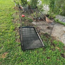 Sturdy Dog Kennel for Sale - Great Condition!